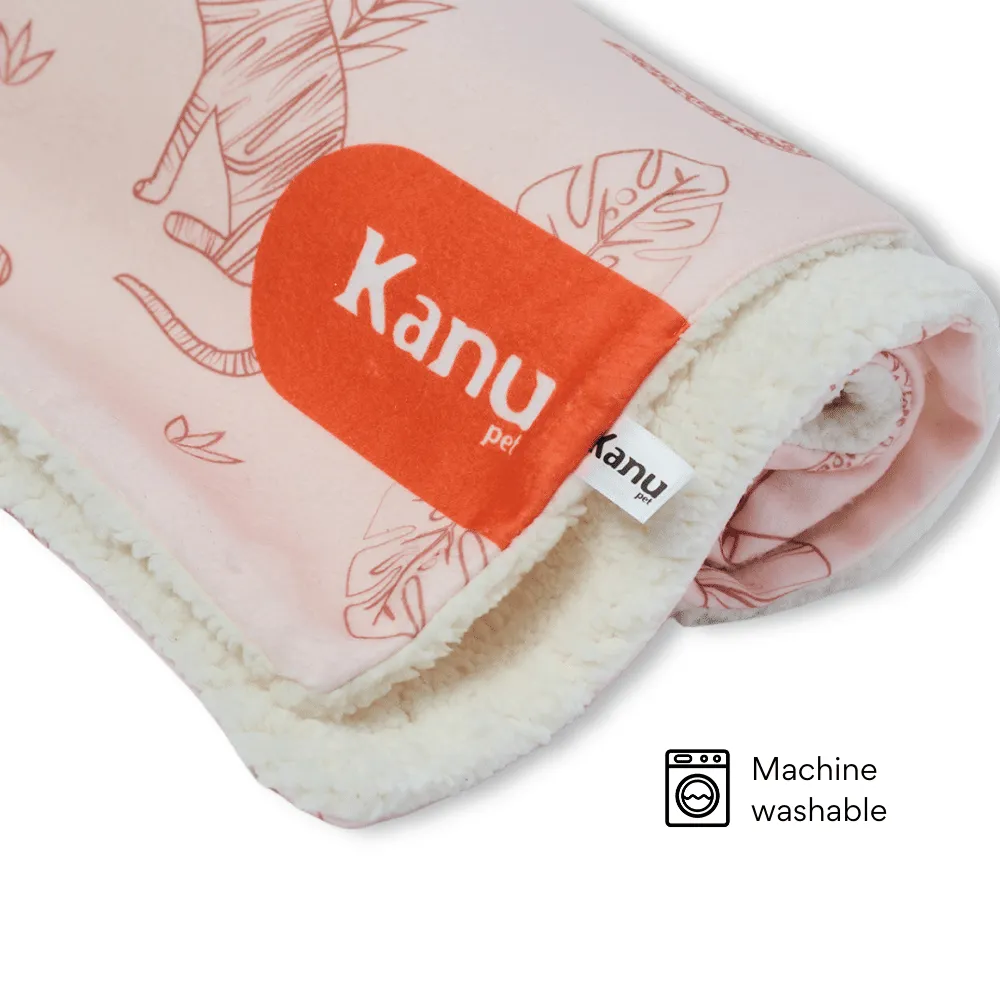 Kanu Pet Tigers Dog Blanket