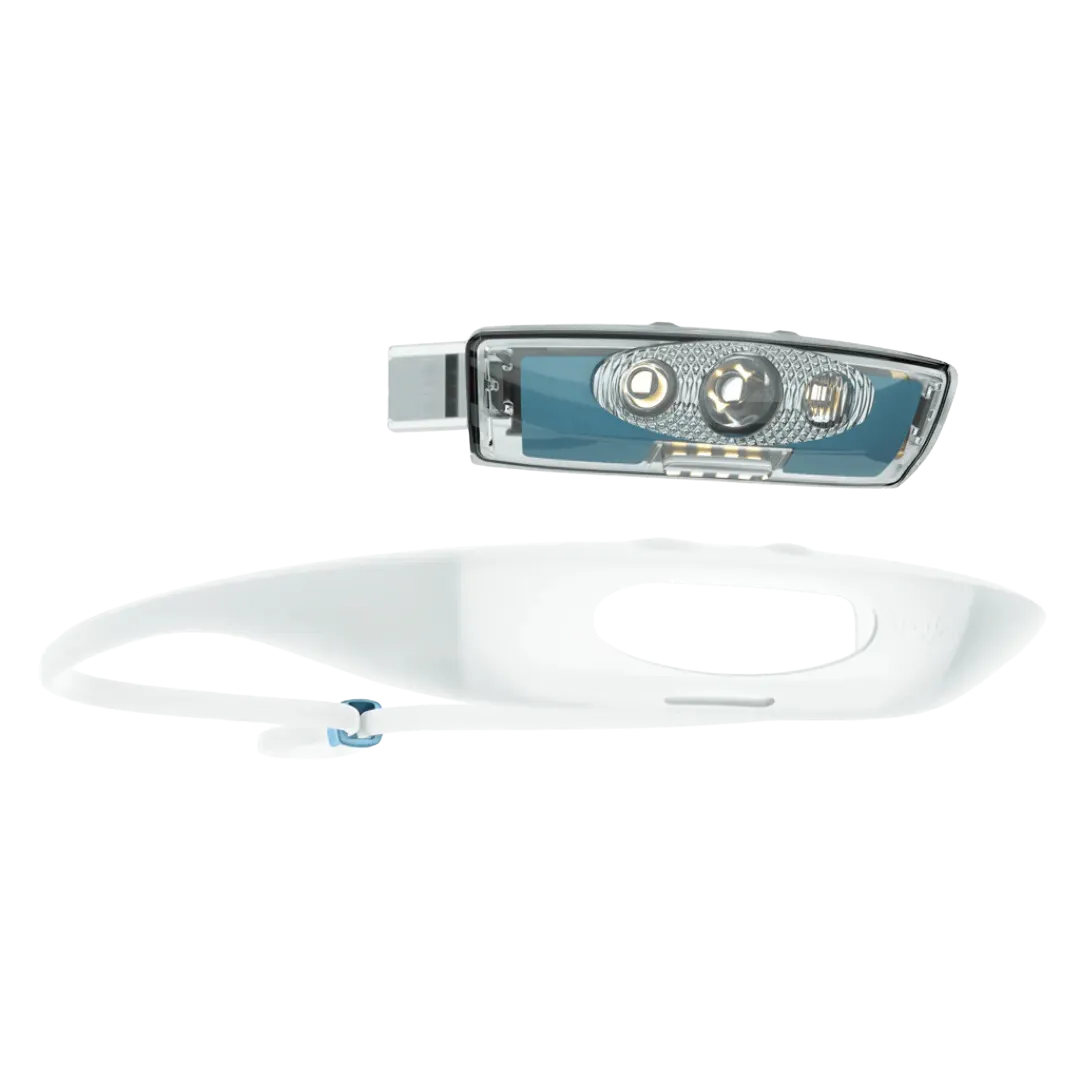 Knog - Bandicoot Run 250 Lumen Headlamp - Blue