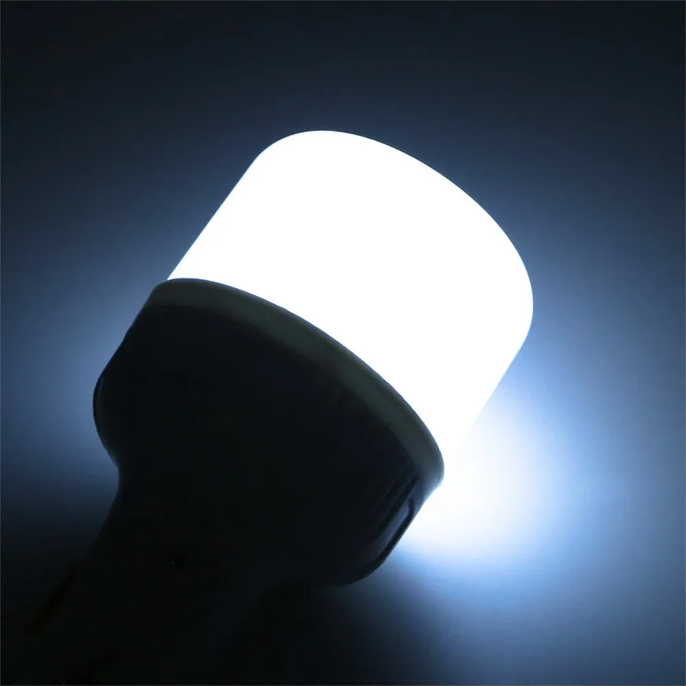 Portable Rechargeable LED Bulb for Camping Fishing Emergency Lighting